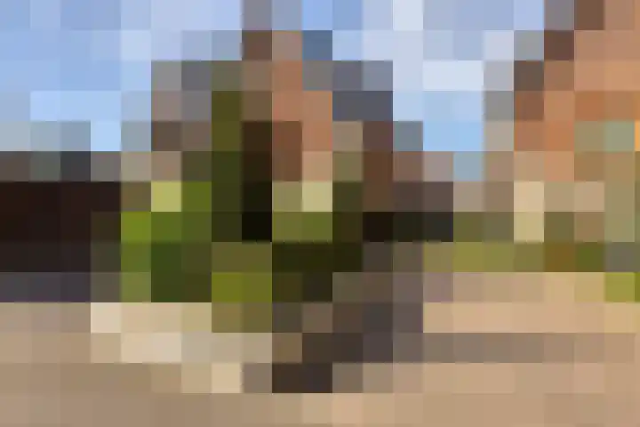 Het Buitenhof 11 Weesp thumbnail 4