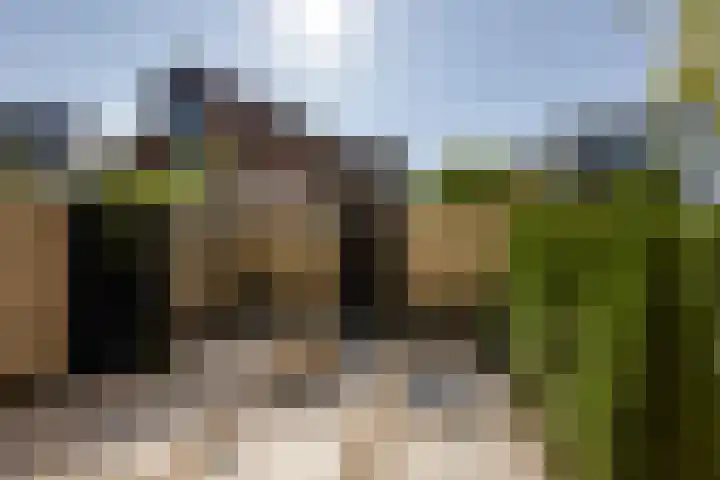 Het Buitenhof 11 Weesp thumbnail 5