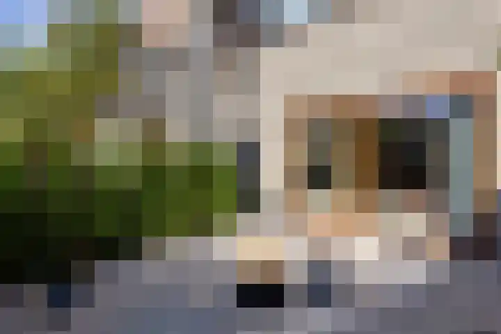 Het Buitenhof 11 Weesp thumbnail 7