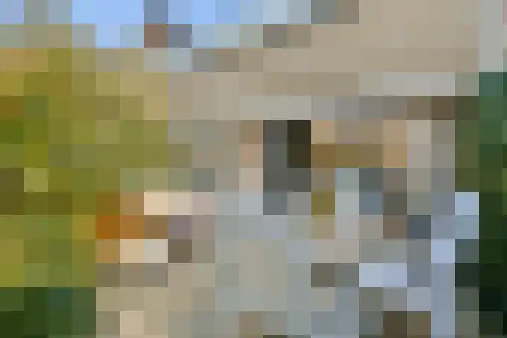 Het Buitenhof 5 Weesp thumbnail 10