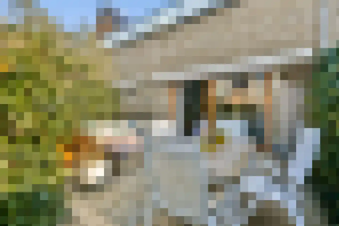 Het Buitenhof 5 Weesp thumbnail 10