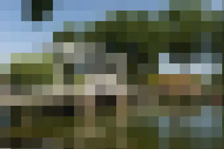 Het Buitenhof 5 Weesp thumbnail 31