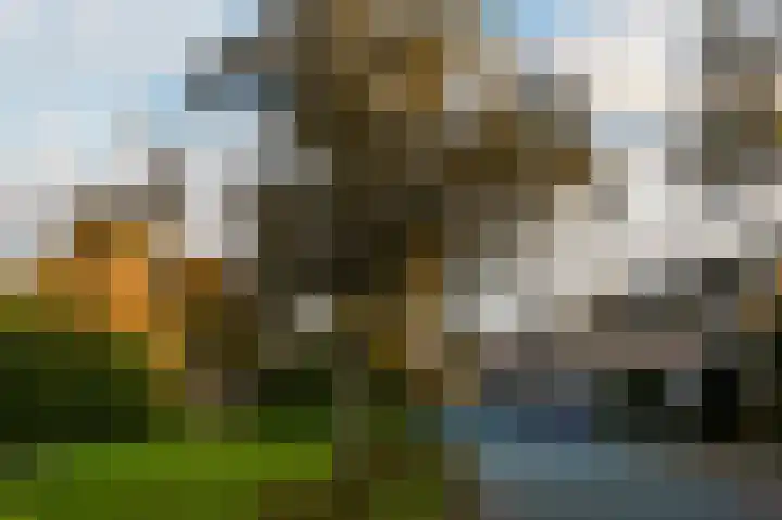 Het Buitenhof 5 Weesp thumbnail 32