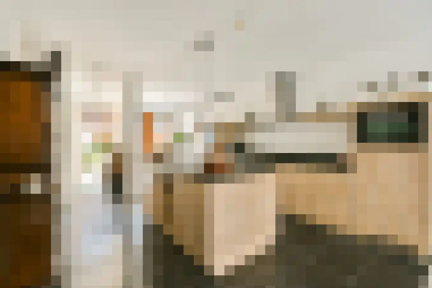 Het Buitenhof 5 Weesp thumbnail 4