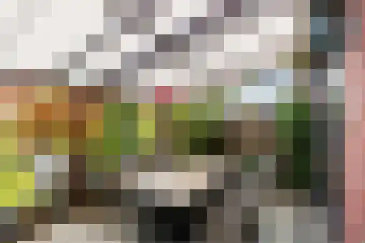 Het Buitenwater 73 Valkenburg thumbnail 39