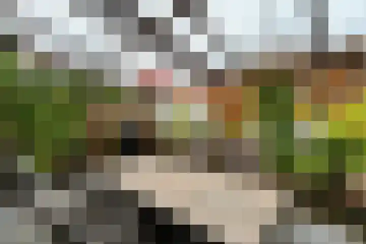 Het Buitenwater 73 Valkenburg thumbnail 40