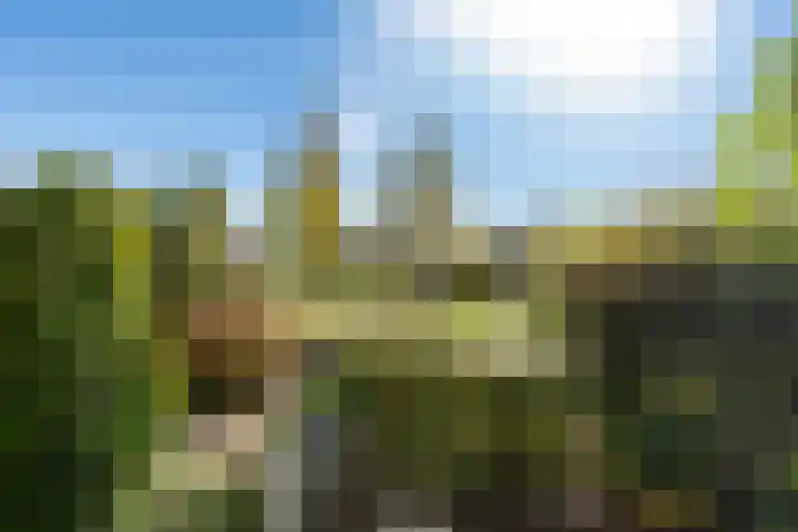 Het Buitenwater 73 Valkenburg thumbnail 56