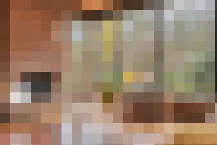 Het Burkink 2 Warnsveld thumbnail 12
