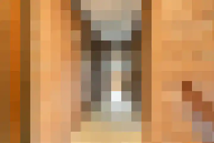 Het Burkink 2 Warnsveld thumbnail 30