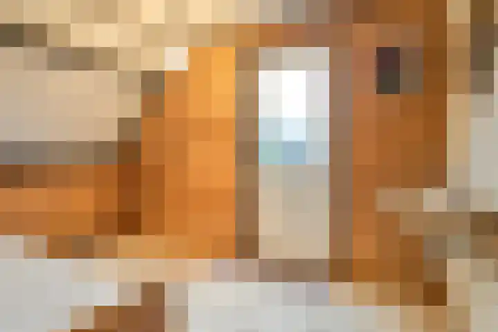 Het Burkink 2 Warnsveld thumbnail 36