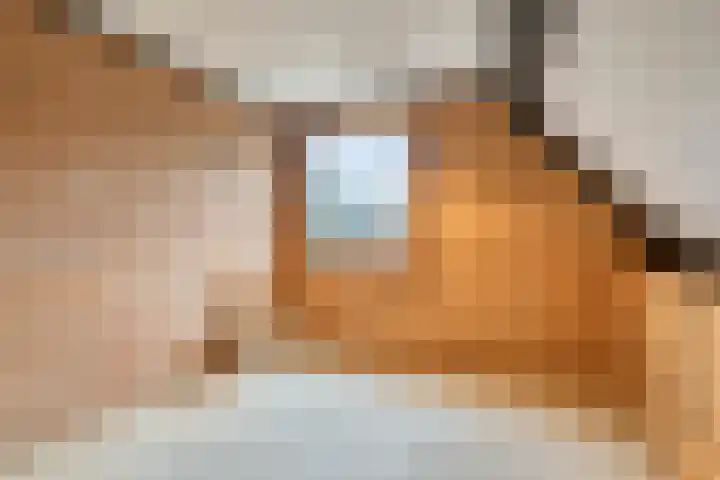 Het Burkink 2 Warnsveld thumbnail 38