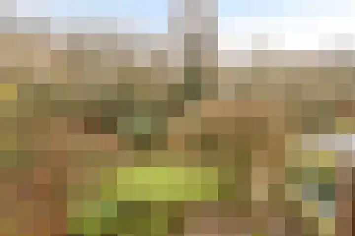 Het Burkink 2 Warnsveld thumbnail 47