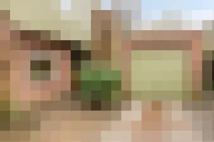 Het Burkink 2 Warnsveld thumbnail 5