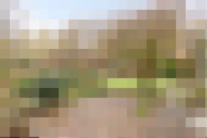 Het Burkink 2 Warnsveld thumbnail 50