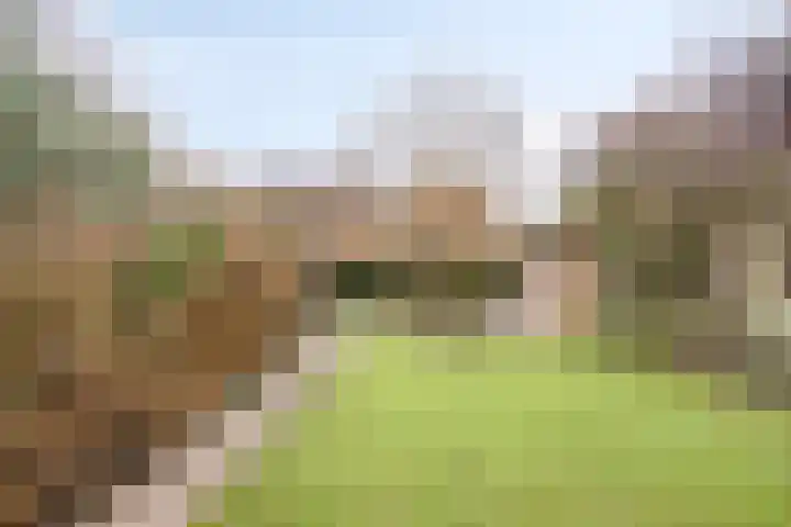Het Burkink 2 Warnsveld thumbnail 51