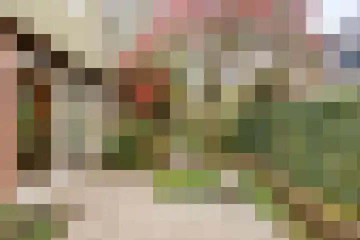 Het Burkink 2 Warnsveld thumbnail 52