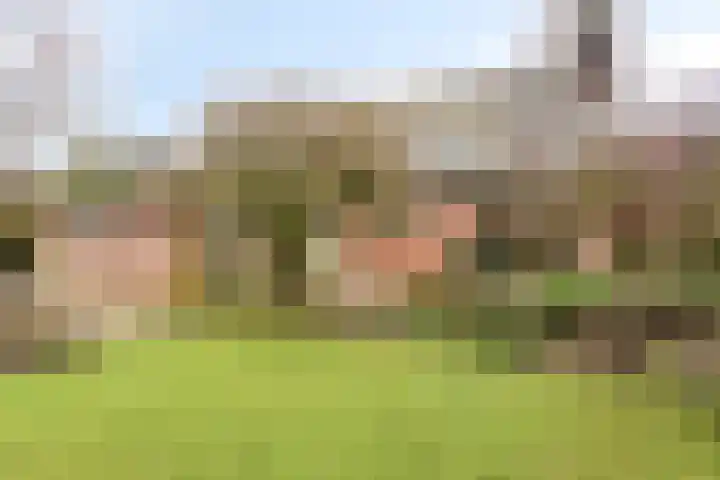 Het Burkink 2 Warnsveld thumbnail 54