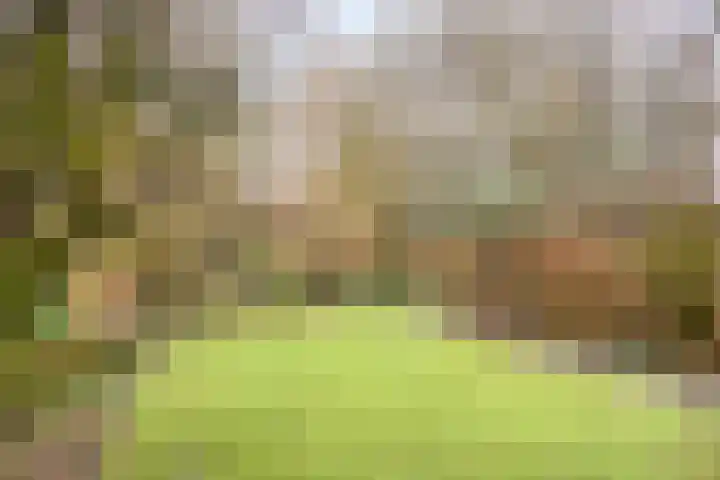 Het Burkink 2 Warnsveld thumbnail 55