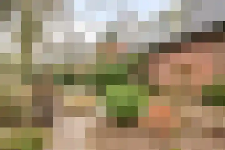 Het Burkink 2 Warnsveld thumbnail 56