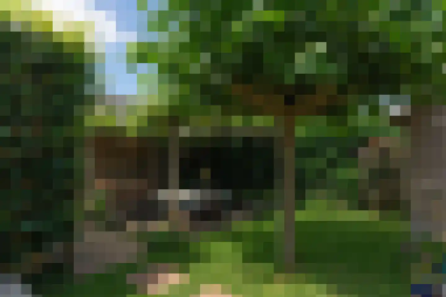 Het Buske 19 Lent thumbnail 10