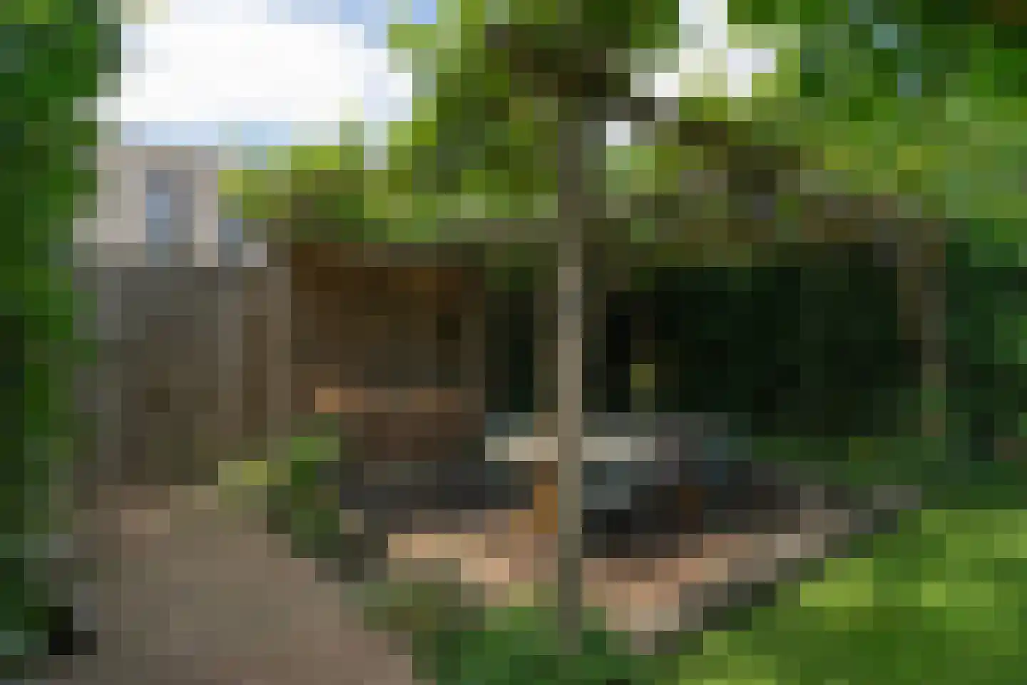 Het Buske 19 Lent thumbnail 11