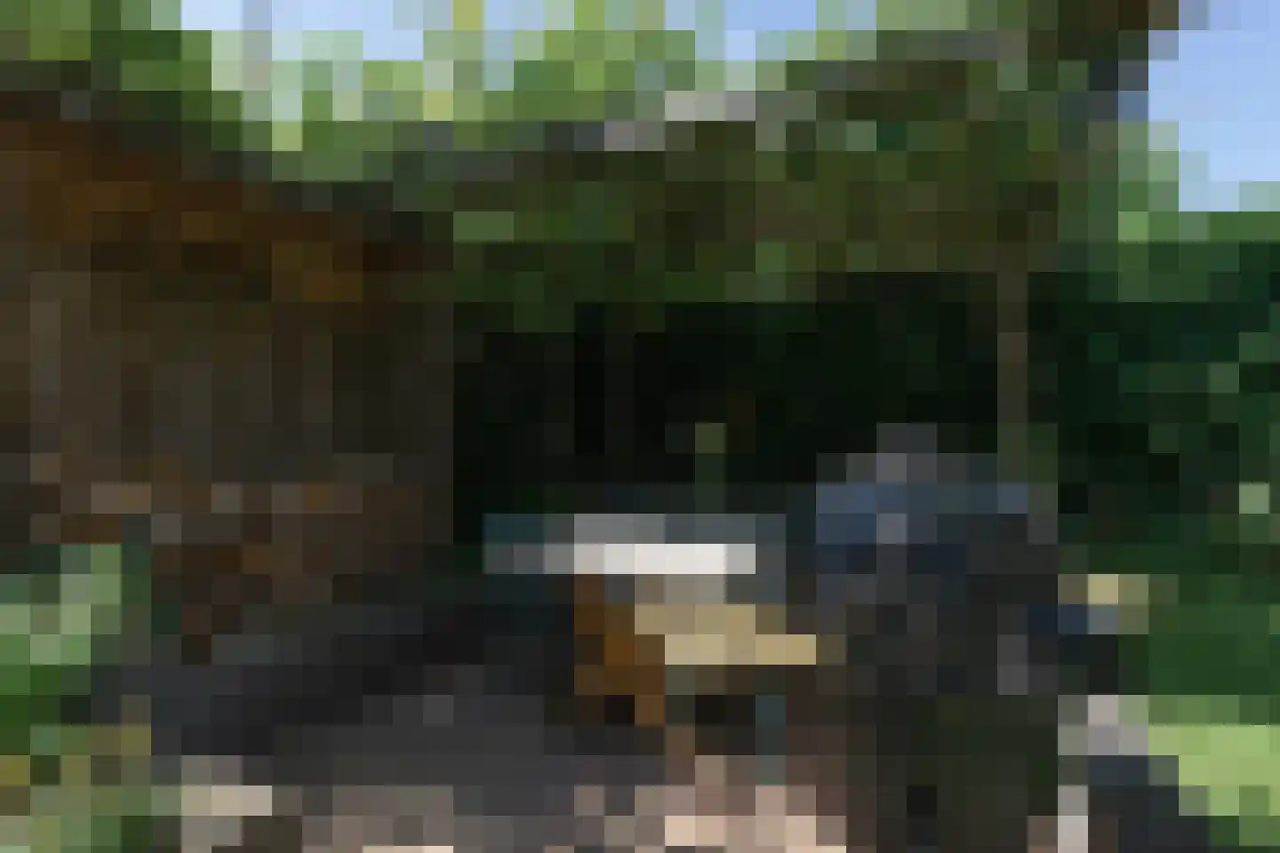 Het Buske 19 Lent thumbnail 12
