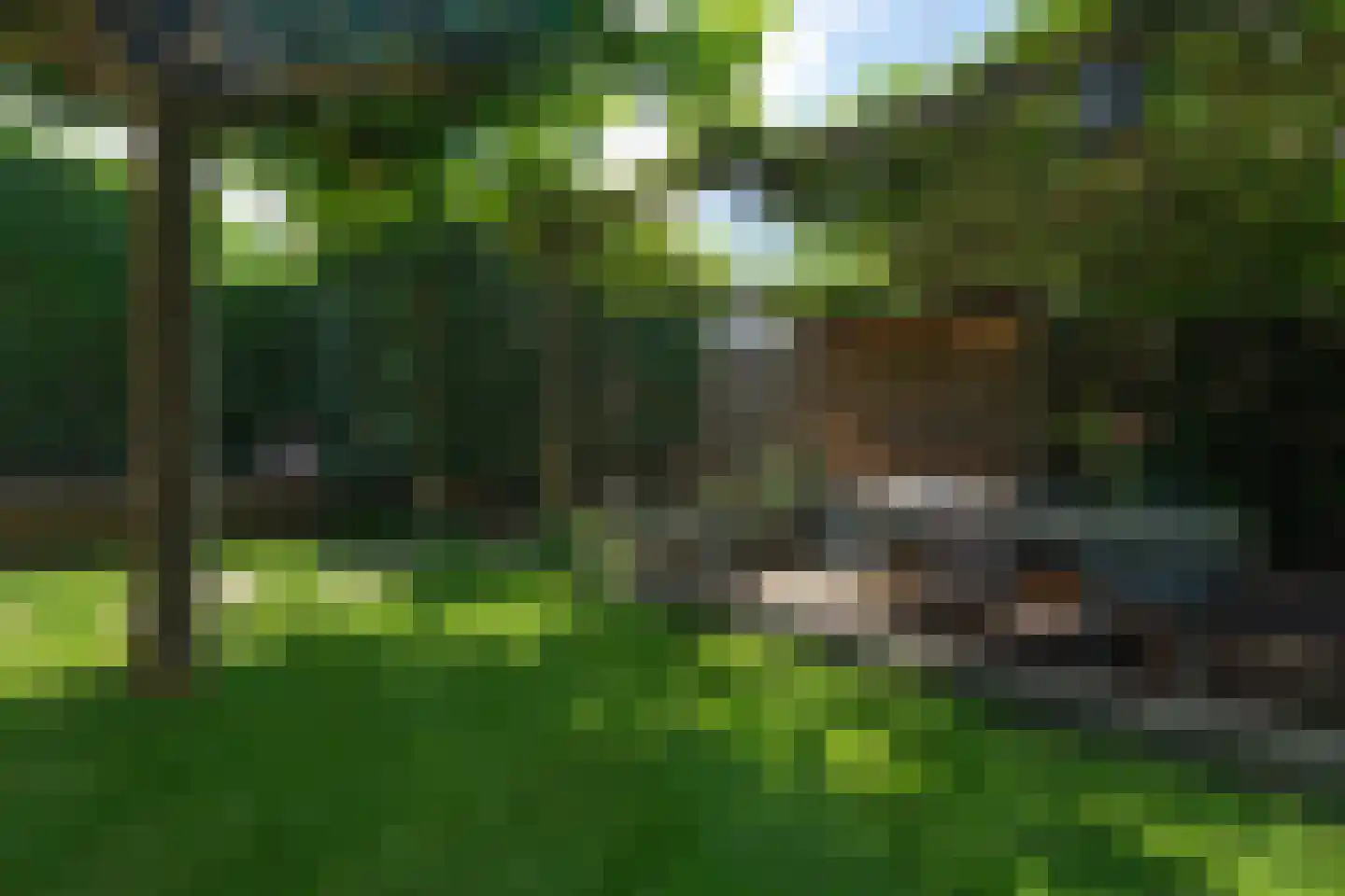 Het Buske 19 Lent thumbnail 14