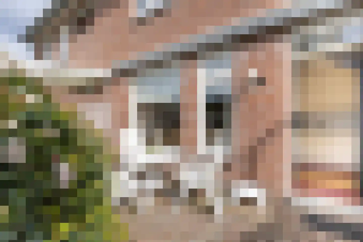 het Buske 23 Helmond thumbnail 43