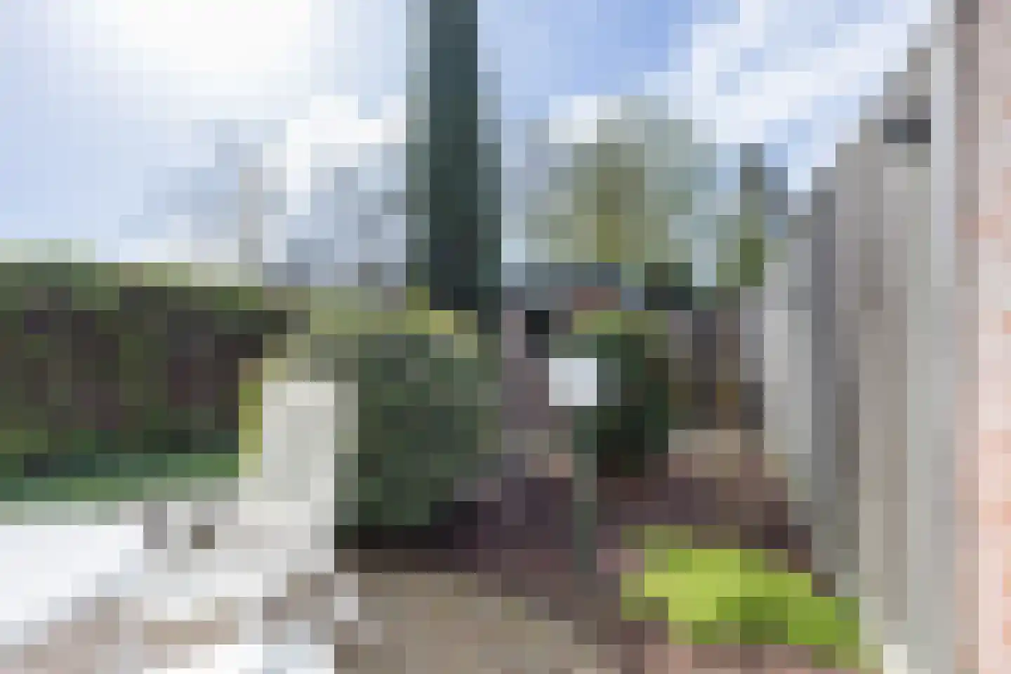 het Buske 23 Helmond thumbnail 44