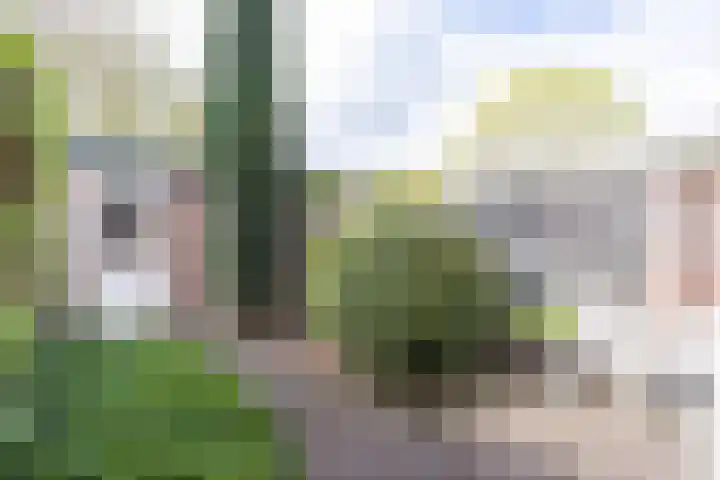 het Buske 23 Helmond thumbnail 45