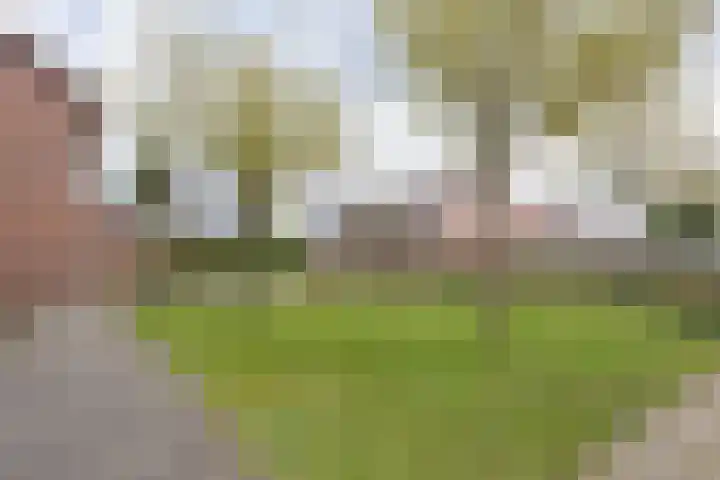 het Buske 23 Helmond thumbnail 49