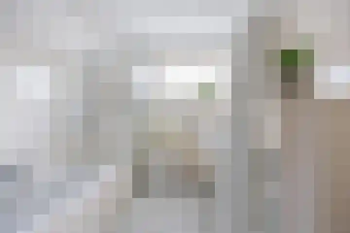 het Buske 23 Helmond thumbnail 5