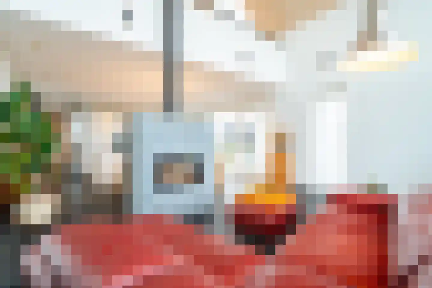 het Buske 23 Helmond thumbnail 8