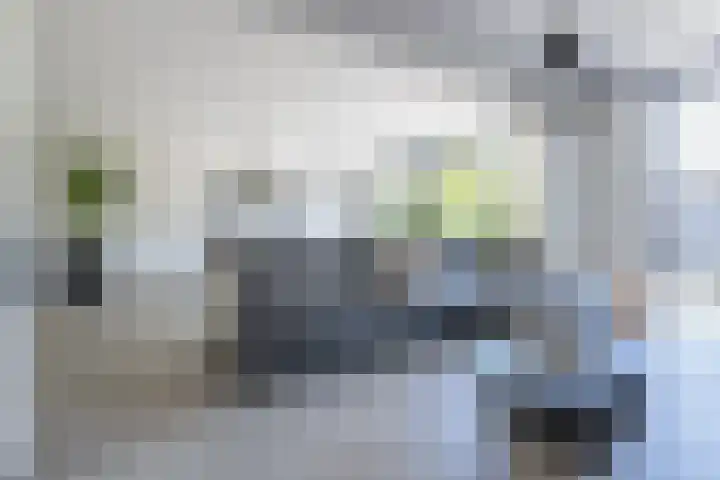 het Buske 23 Helmond thumbnail 9