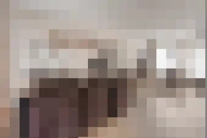 het Buske 29 Helmond thumbnail 13