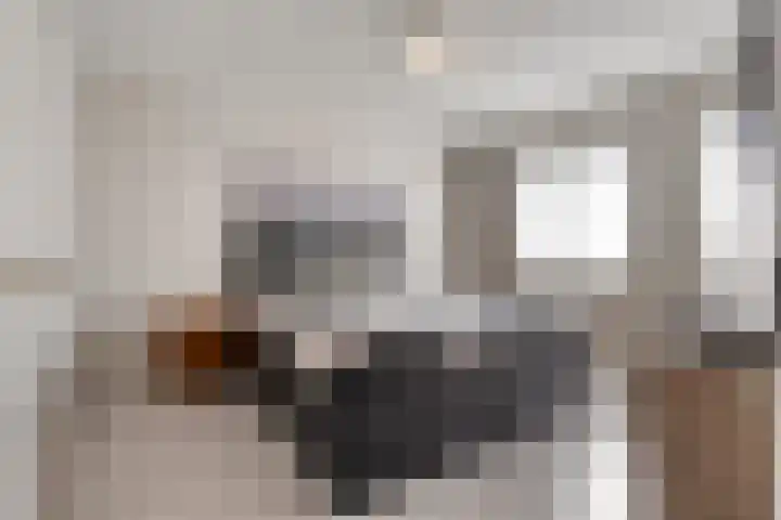 het Buske 29 Helmond thumbnail 20