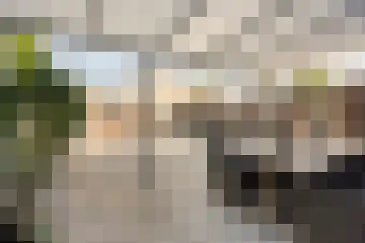 het Buske 29 Helmond thumbnail 35