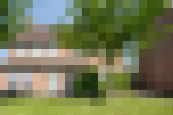 het Buske 29 Helmond thumbnail 38