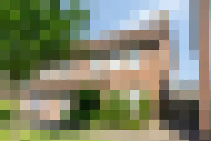 het Buske 29 Helmond thumbnail 46
