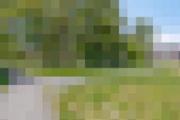 Het Buske 31 Vinkel thumbnail 103