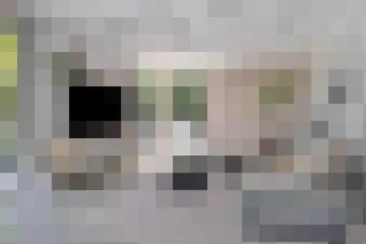 Het Buske 31 Vinkel thumbnail 11