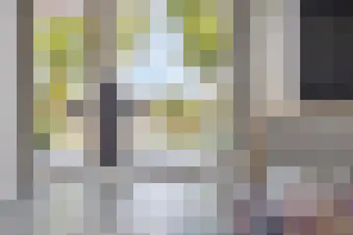 Het Buske 31 Vinkel thumbnail 13