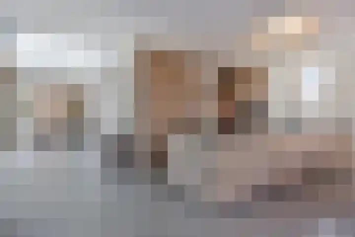 Het Buske 31 Vinkel thumbnail 16