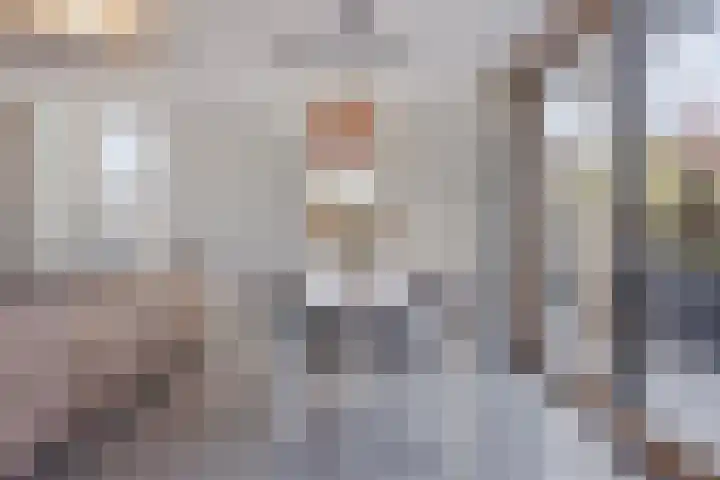 Het Buske 31 Vinkel thumbnail 17