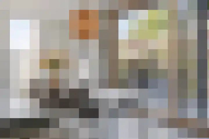 Het Buske 31 Vinkel thumbnail 18