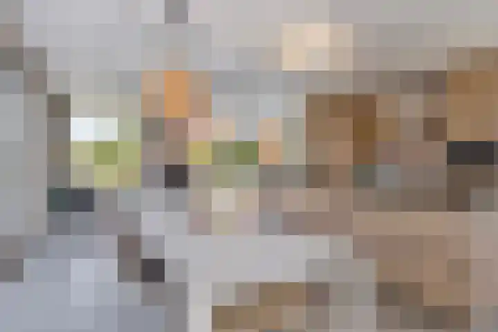 Het Buske 31 Vinkel thumbnail 19