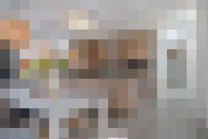 Het Buske 31 Vinkel thumbnail 20