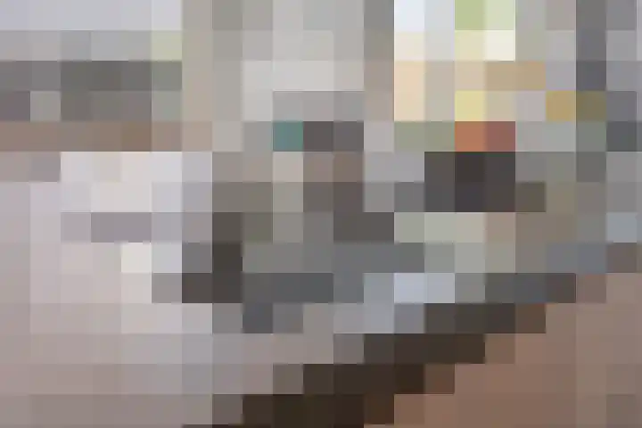 Het Buske 31 Vinkel thumbnail 23
