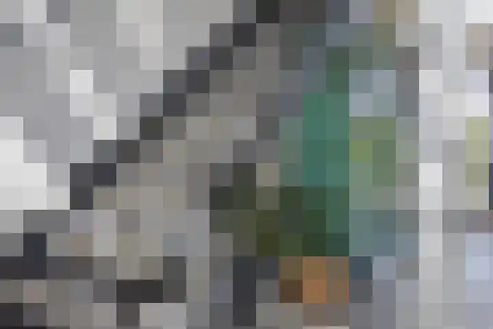 Het Buske 31 Vinkel thumbnail 34