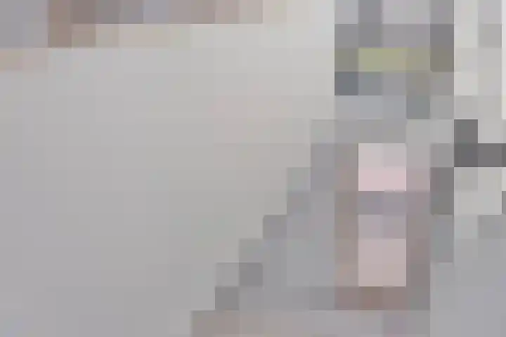 Het Buske 31 Vinkel thumbnail 35